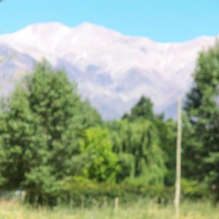 Cabaña Uspallata, Mendoza. Para 4 personas Villa Bagian luar foto